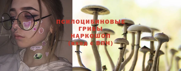синтетический гашиш Новодвинск