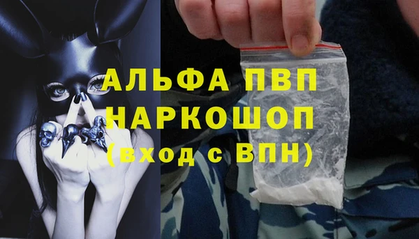 ECSTASY Новокубанск