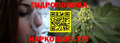 ешки Гатчина