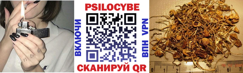 Галлюциногенные грибы Psilocybine cubensis  даркнет состав  Амурск 