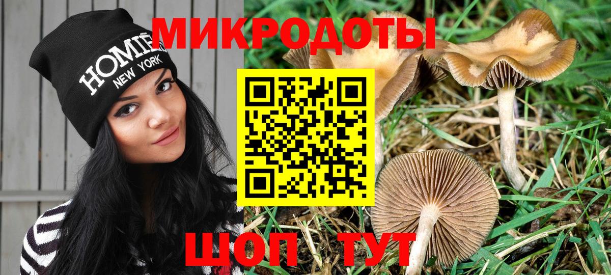 Псилоцибиновые грибы Magic Shrooms Амурск