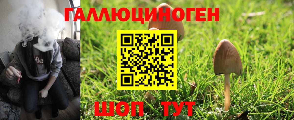 Псилоцибиновые грибы Psilocybine cubensis  Вход с VPN  Амурск 