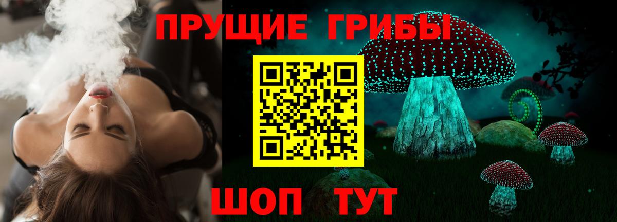 Галлюциногенные грибы Psilocybe  Псилоцибиновые грибы мицелий  Амурск 